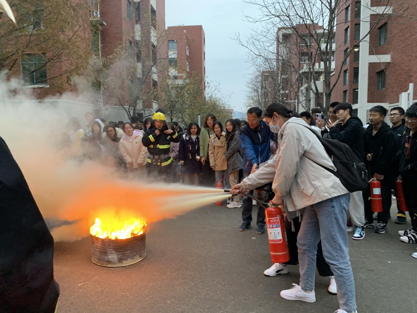 1606103658328143.jpg 1606103658328143.jpg