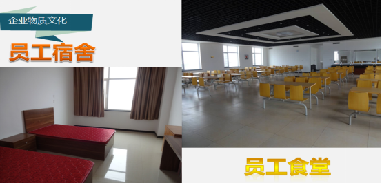 1574936556664541.png image.png